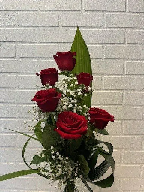 6 Roses Accordion