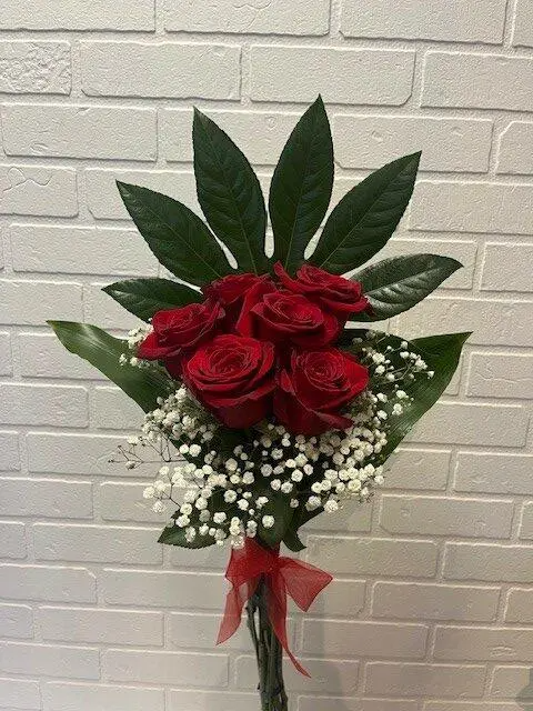 6 Roses Aralia