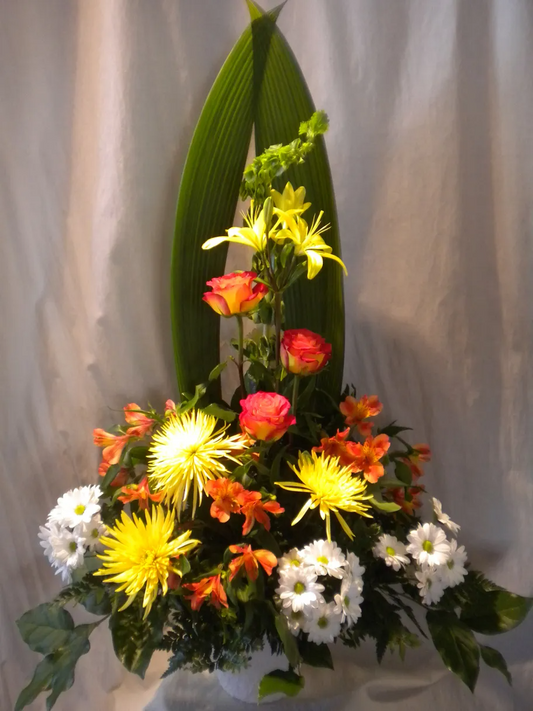 From My Garden