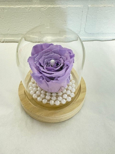 ROSE ÉTERNELLE LILAS