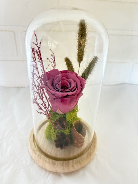 ROSE ÉTERNELLE PRUNE