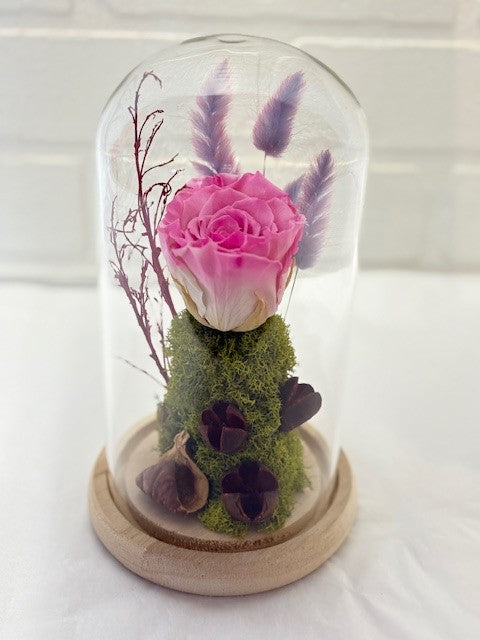 ROSE ÉTERNELLE ROSE