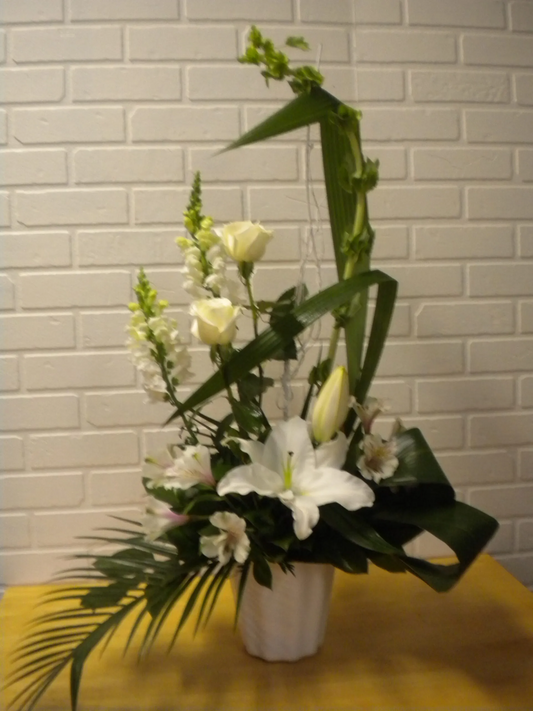 Elegance and Softness