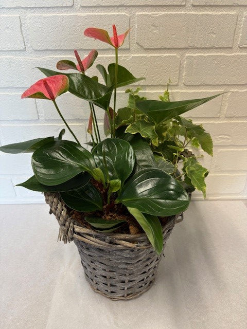 JARDIN DE PLANTES POT ROTIN