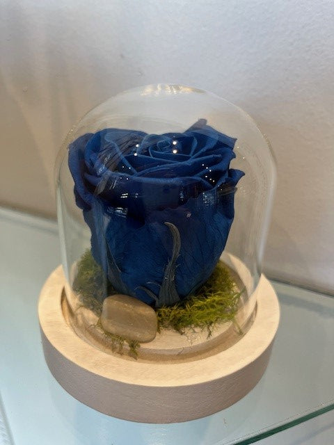 6-35.00$ ROSE ÉTERNELLE BLEU